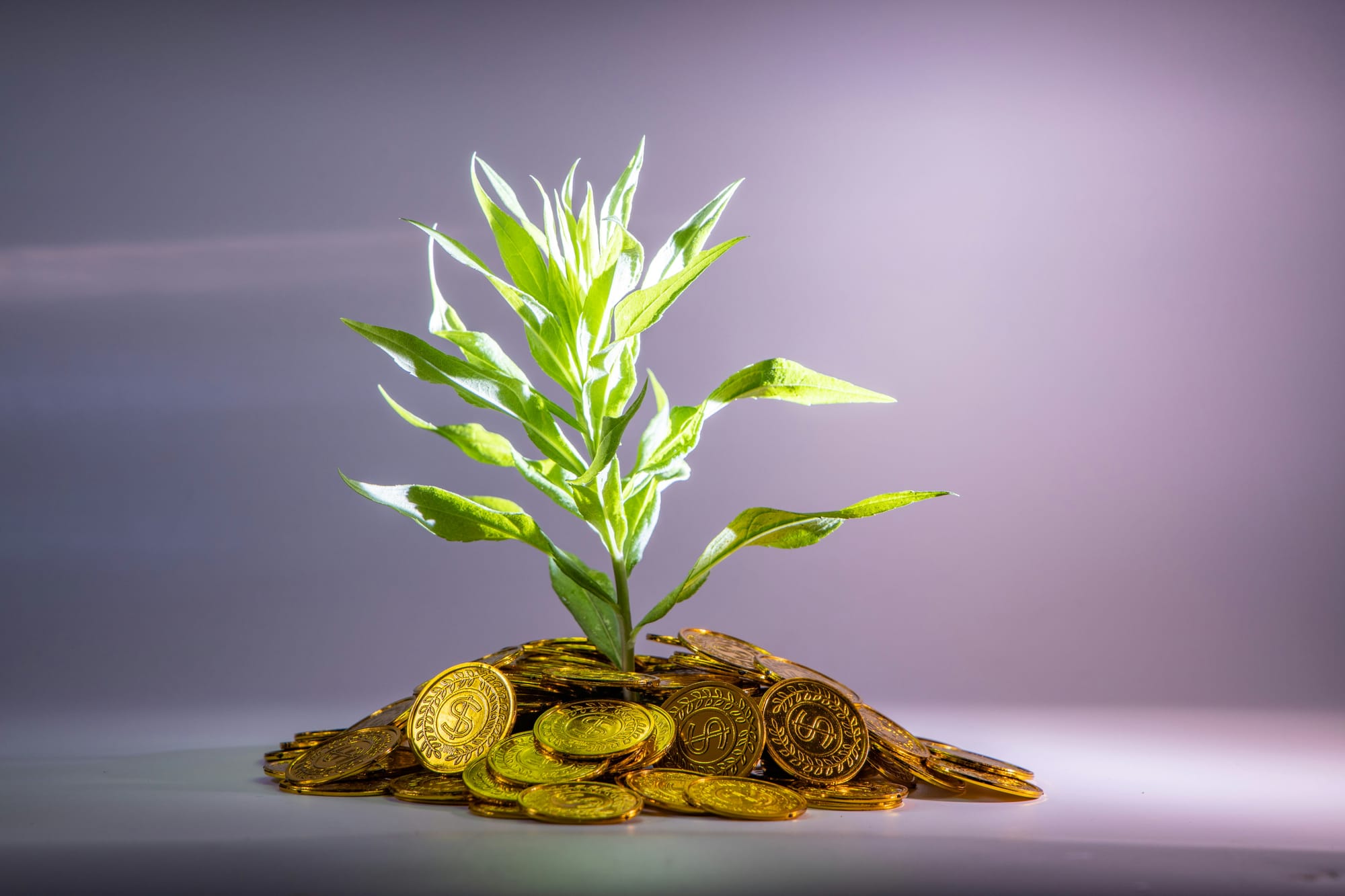 How to Start Investing With $100 or Less